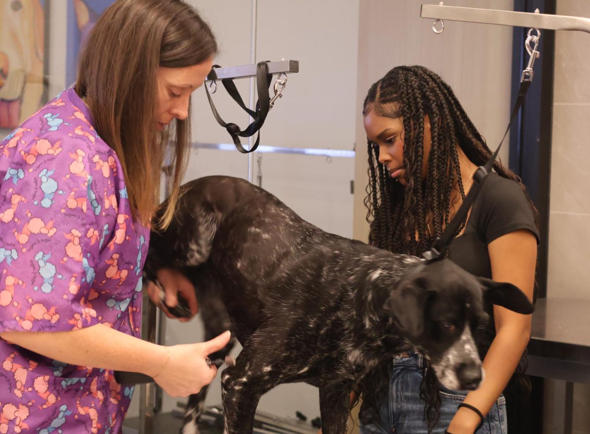 A Dog Washing Business is Set to Open at LHHS!