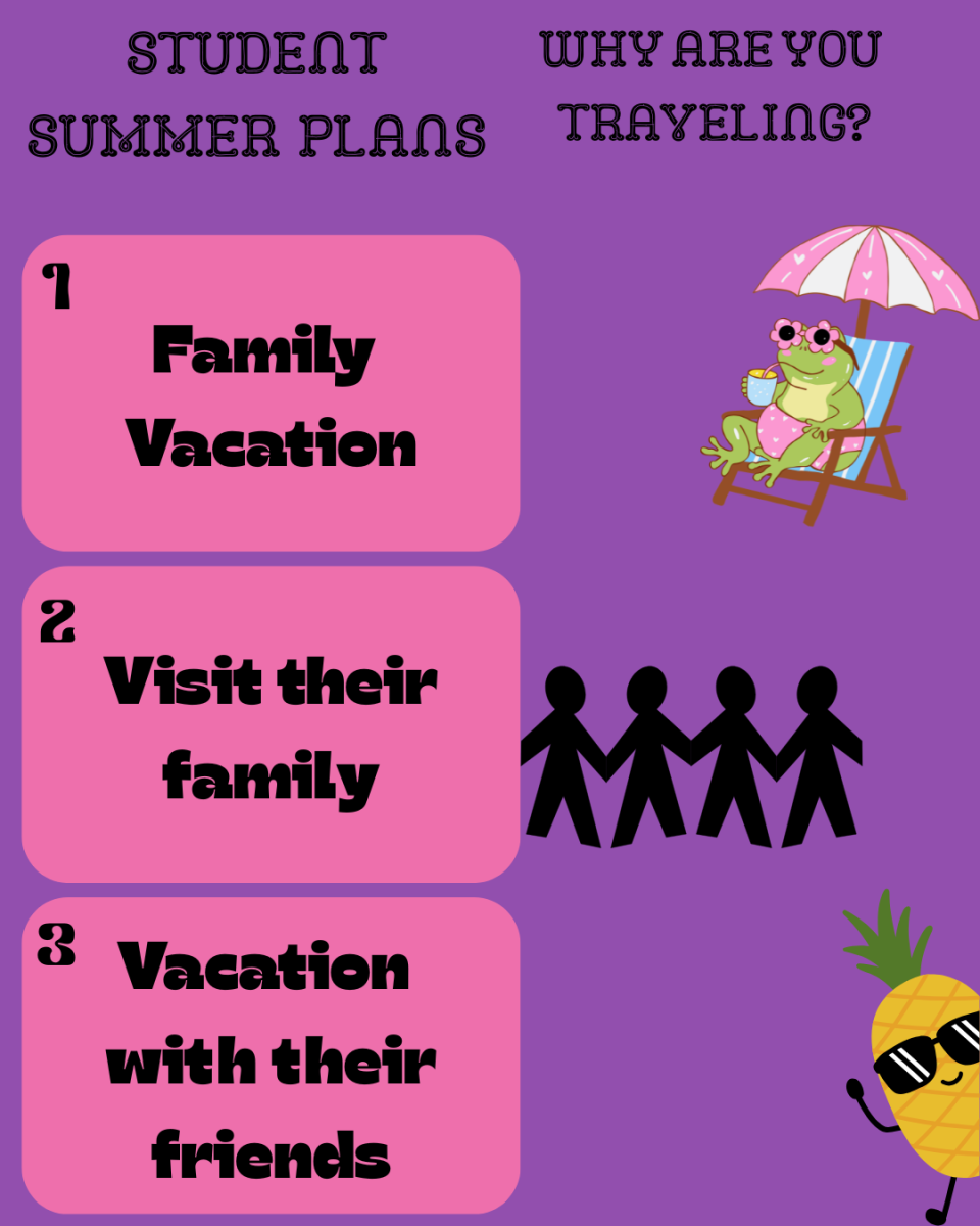 Summer Plans